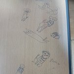 사람같은 17개월 된 "식신" 말티즈 뽀뽀를 소개합니다