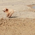 <b>몽</b>망이네2탄)<b>몽</b><b>군</b>망고 성장기-<b>몽</b>군편