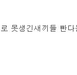 븉잉 <b>무덤</b>팠다