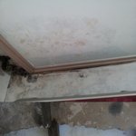 이게 사람사는 집입니까. 구제 방법 없을까요.