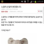 일베에<b>속지</b>마세요