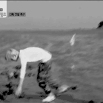 <b>젤로</b>이쁜사진