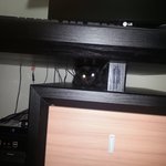 82년생 아자씨의 4개월 육묘 일기!!!!!! (사진 <b>many</b> 有)