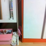 눈에 넣어도 안아픈 내<b>새끼</b>2