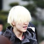 <b>젤로</b> 삽살개설