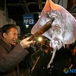 <b>홍어</b> 손질법