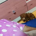행복을가져다준 싸가지