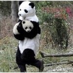 주의<b>신종</b>납치사건!사진포함