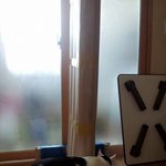 [냥판] <b>대두</b> 김용배의 그러라고 사준게 아닐텐데...?