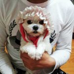 내새끼들~~~자랑하러 또왔네요~~