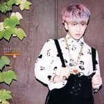바로