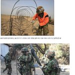 군대 꿀보직 甲