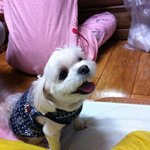 울 뭉이 <b>난이</b>