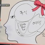 ✖✖✖보기 안쓰러운 수지의 <b>뇌구조</b>✖✖✖