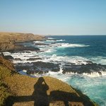 꿈 같던 3박 4일간의 호주 멜버른 여행기!!