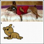 ＠＠＠카카오톡 이모티콘 모델?같은 저희 <b>짱아</b>를 소개합니다^^!!ㅋㅋ＠＠＠