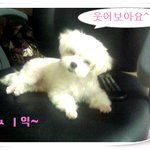 웃어요~~ 엄마미소로~