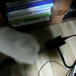 뜬금없지만