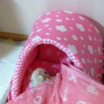 눈에 넣어도 안아픈 내<b>새끼</b>