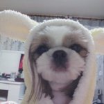 가슴으로 낳은 내 새끼...우리밥흘이 ^^