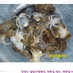 다소 <b>생소</b>한 해루질 이야기, 해루질 장비, 야간갯벌체험 이야기!