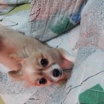 *.*다들 아직도 아기로 착각하는 울집<b>숙녀</b>들!