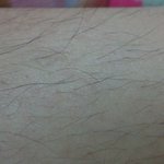 혐오사진유)여잔데 <b>다리털</b>이 너무길어요ㅠㅠ