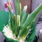 <b>졸업식날</b> 이런 꽃다발 받아봤나요..? + 후기