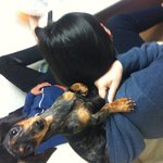 부산금정구)저희 <b>키니</b> 보신분 없으신가요