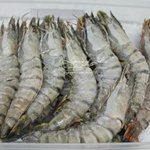 사진첨부)) <b>해물</b> 스파게티,해산물스파게티 만들기