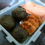 24살에 하는 소꿉놀이* 4탄!