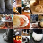 17<b>금</b>) 꼭 한번 만져보고 싶은 사진