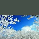 사진 <b>판독</b> 부탁드립니다!