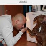 개<b>단호</b>.jpg