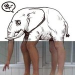 오늘도 난 코끼리 <b>조련</b>중