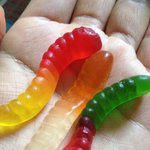 보고싶다 <b>디노</b>