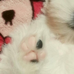 울강아지 <b>발</b> 왜이러는걸까요?ㅜㅜ(<b>사진</b>있어유)