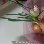 사랑스런 플로리스트 아내 ㅋㅋㅋ
