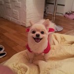 우리 <b>티티</b>