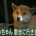 <b>윤시윤</b>닮지않음??