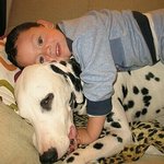 <b>동물</b>힐링 짤 모음 (훈훈)