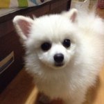 우리<b>뭉치</b>