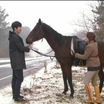 권상우 김성령, ‘애마커플’ 로 시작된 시크한 로맨스