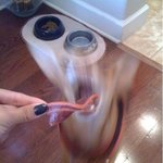 3초후에 <b>이해</b>됨.jpg