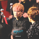 <b>햄찌</b>ㅠㅠ