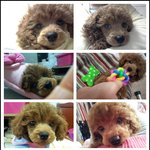 <b>튼튼</b>한 <b>튼튼</b>씨!