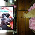 <b>tv</b>..시청중..토리공주2탄