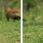 쓰리디효과.<b>gif</b>