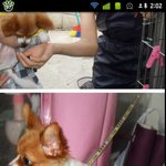 우리 권이와의 첫만남