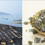 [환절기대비 반찬추천] 늦겨울입맛돋구는음식공개!!초간편레시피